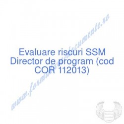 Director de program (cod...