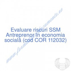 Antreprenor în economia...