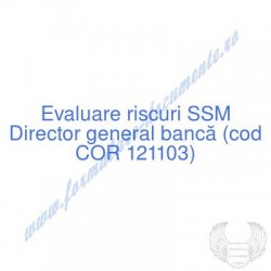 Director general bancă (cod...
