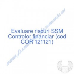 Controlor financiar (cod...