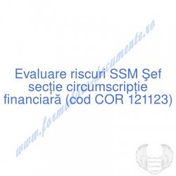 Şef secţie circumscripţie...