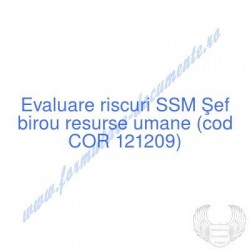 Şef birou resurse umane...