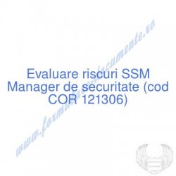 Manager de securitate (cod...
