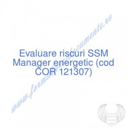Manager energetic (cod COR...