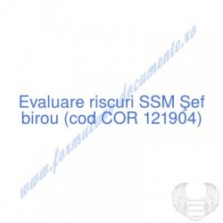 Şef birou (cod COR 121904)...