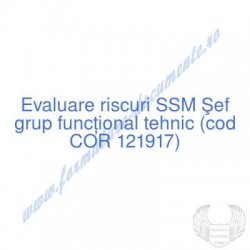 Şef grup funcţional tehnic...