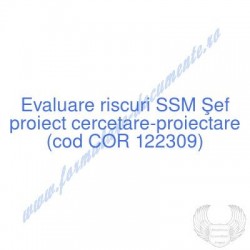 Şef proiect...