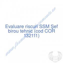 Şef birou tehnic (cod COR...