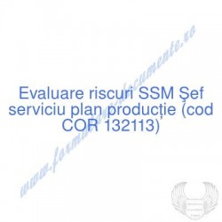 Şef serviciu plan producţie...