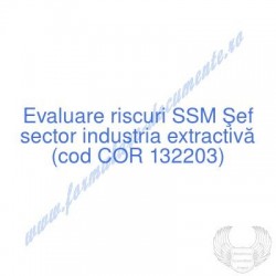 Şef sector industria...