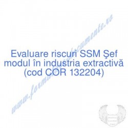 Şef modul în industria...