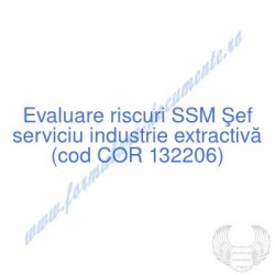 Şef serviciu industrie...