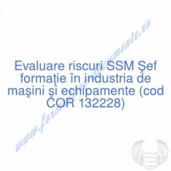 Şef formaţie în industria...