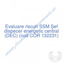Şef dispecer energetic...