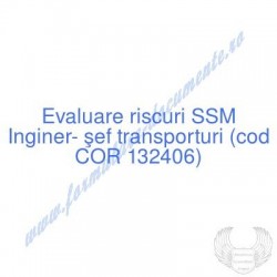 Inginer- şef transporturi...