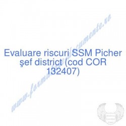 Picher şef district (cod...