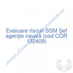 Şef agenţie navală (cod COR...