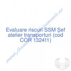 Şef atelier transporturi...