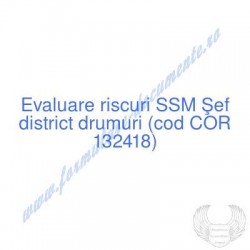 Şef district drumuri (cod...