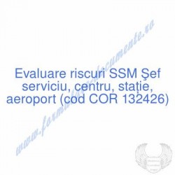 Şef serviciu, centru,...
