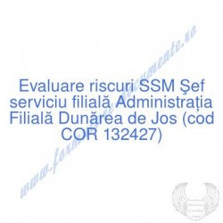 Şef serviciu filială...
