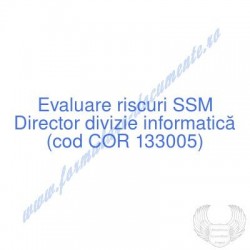 Director divizie...