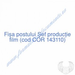 Şef producţie film (cod COR...