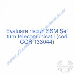 Şef turn telecomunicaţii...