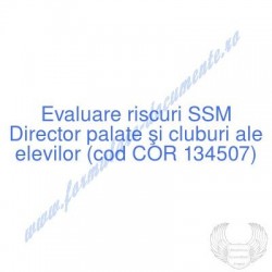 Director palate şi cluburi...