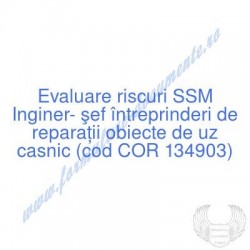 Inginer- şef întreprinderi...