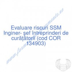 Inginer- şef întreprinderi...