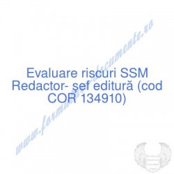 Redactor- şef editură (cod...
