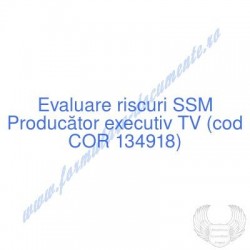 Producător executiv TV (cod...
