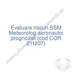 Meteorolog aeronautic...