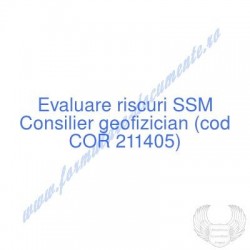 Consilier geofizician (cod...