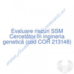 Cercetător în ingineria...