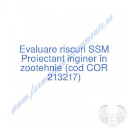 Proiectant inginer în...