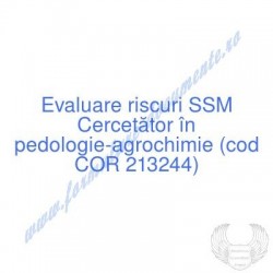 Cercetător în...