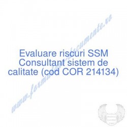 Consultant sistem de...