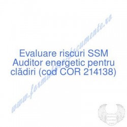 Auditor energetic pentru...
