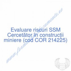 Cercetător în construcţii...