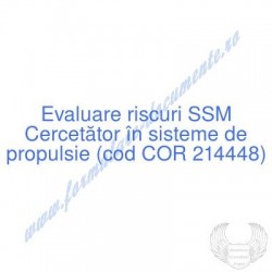 Cercetător în sisteme de...