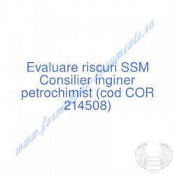 Consilier inginer...