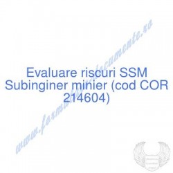 Subinginer minier (cod COR...