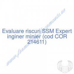 Expert inginer minier (cod...