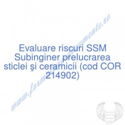 Subinginer prelucrarea...