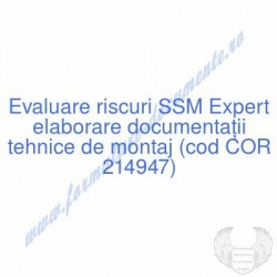 Expert elaborare...