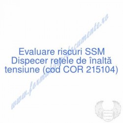 Dispecer reţele de înaltă...