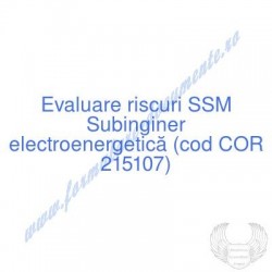 Subinginer...