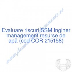 Inginer management resurse...